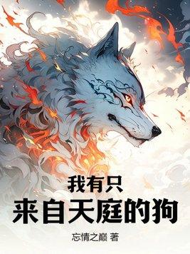 我有个天庭