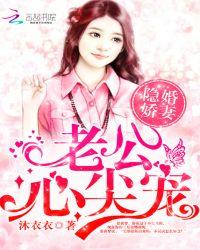 隐婚娇妻老公心尖宠有几对cp