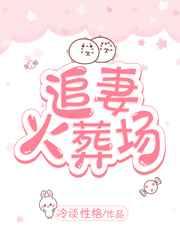 追妻火葬场古言完结
