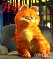 加菲猫动画片图片