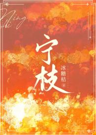 宁枝靳时礼免费阅读