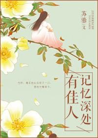 记忆深处有佳人第28章完整