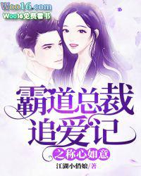 霸道总裁追爱的电视剧