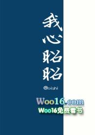 我心昭昭顾长安