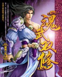 魂武双修战九天