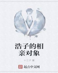 浩子的相亲对象 十三子