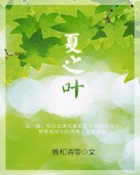 夏之叶笔趣阁