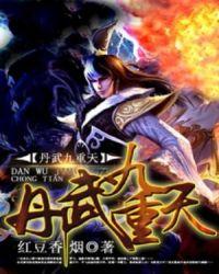 九丹阿武是什么电视剧