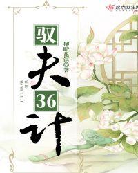驭夫三十六计免费阅读