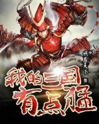 我的三国有点猛完整版TXT