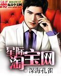 星际淘宝网TXT百度资源