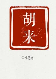 胡来什么意思