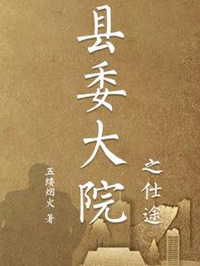 县委大院湖南卫视