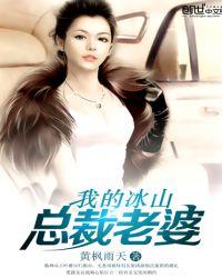 我的冰山总裁老婆3