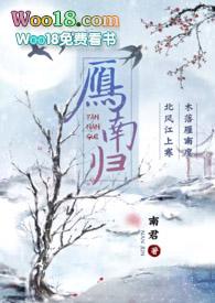 大风起兮白云飞草木黄落兮雁南归