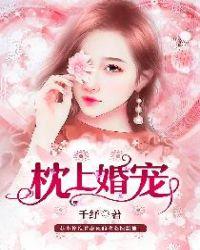 书名枕上婚宠