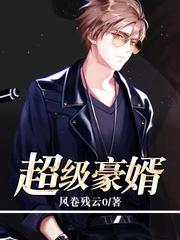 超级女婿(又名豪婿)