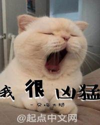 这句话用英文怎么说?