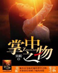 掌中之物简介