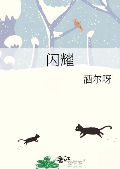 闪耀之星骑士
