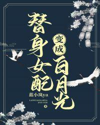 替身女配变成白月光蓝小岚
