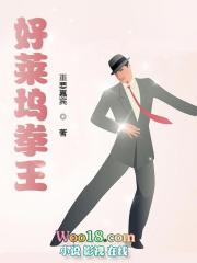 好莱坞拳王TXT精校版