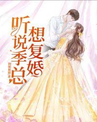 听说季总想复婚简介