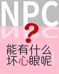 npc能有什么坏心眼呢(无限)