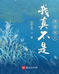 我真不是得道高人起点