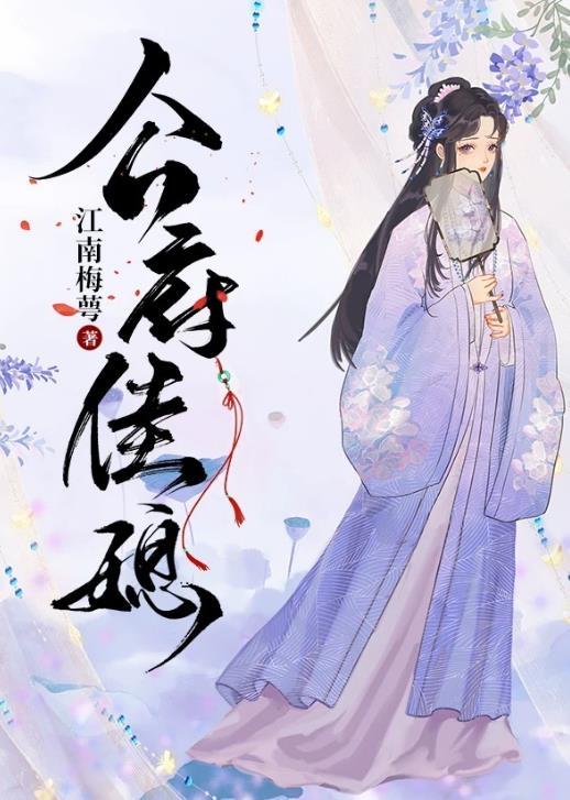 公府佳媳讲的是什么