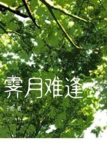 霁月难逢by