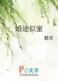 婚途似锦觅繁花免费