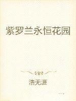 紫罗兰永恒花园剧场版免费观看