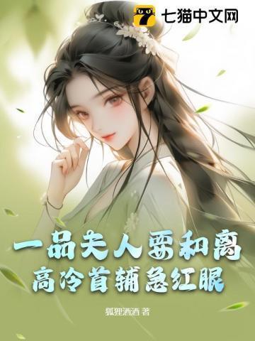 一品夫人的意思
