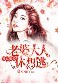 老婆大人要离婚免费阅读