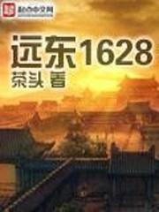 远东1628好看吗