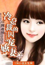 高冷总裁的冷艳娇妻免费阅读