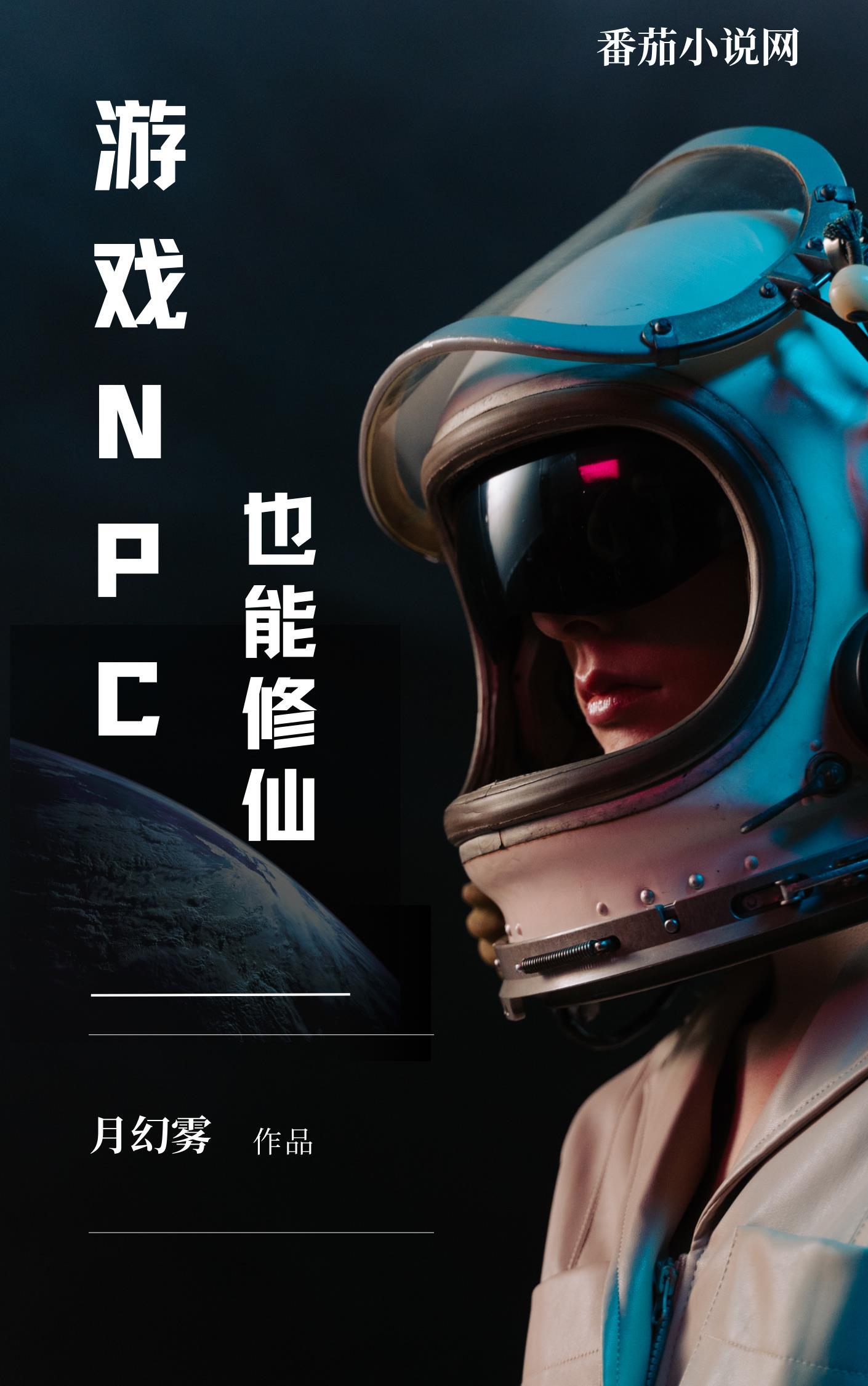 可以npc的游戏
