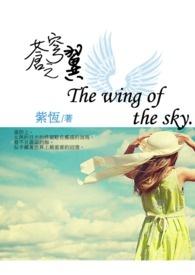 苍穹之翼什么职业好看
