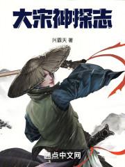大宋神探志顶点