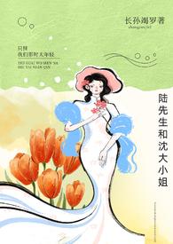 陆先生和顾先生
