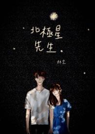 北极星汽车