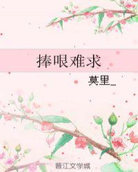 捧哏术语