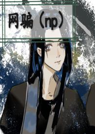 网骗